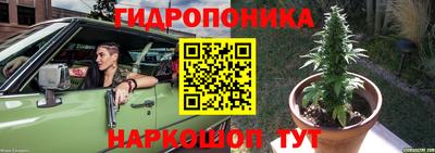 мяу мяу мука Бузулук