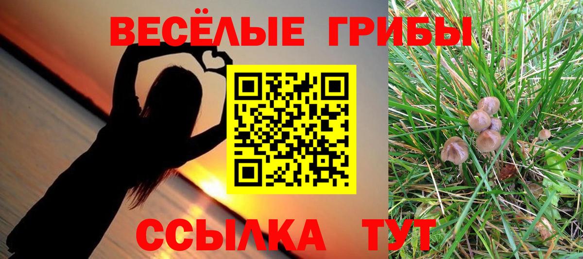 Галлюциногенные грибы MAGIC MUSHROOMS  Вход с VPN  Вышний Волочёк 