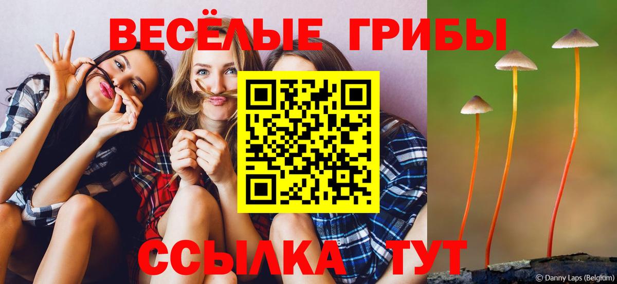 Псилоцибиновые грибы Cubensis Вышний Волочёк