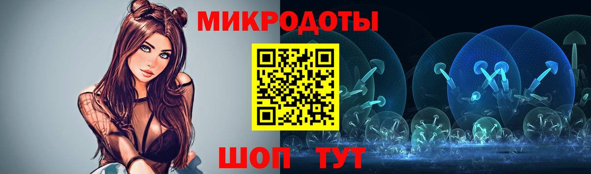 Псилоцибиновые грибы MAGIC MUSHROOMS  Вышний Волочёк  закладка  Галлюциногенные грибы Psilocybine cubensis 