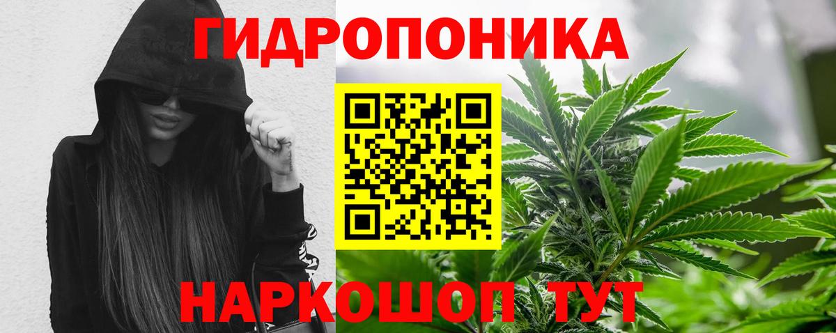 МАРИХУАНА марихуана Вышний Волочёк